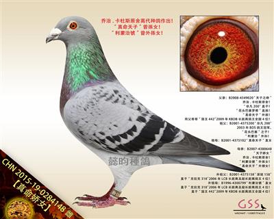 【真命娇女】“真命天子”曾孫女！