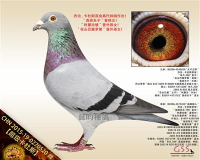 【超级卡杜斯】“真命天子”曾孫女！