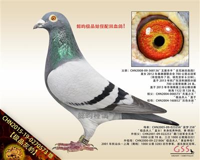 【极品灰豹】“极品夫人”回血外孙！