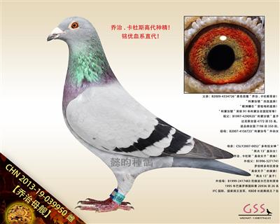 【乔治母舰】“利蒙治號”曾孙女！