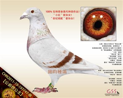 【公爵楞公主】“小红”曾孙女！