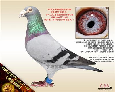 【雄霸渦輪】爱亚卡普28名！