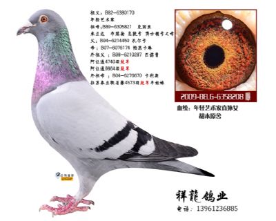 胡本年轻艺术家直孙女