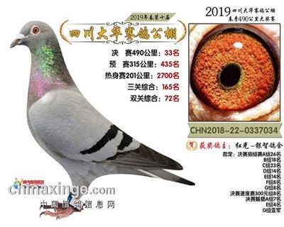 大华33名，古瓦特178直孙，仅供欣赏