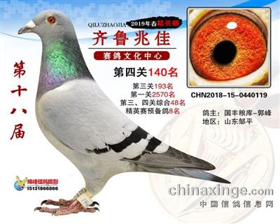 2019年春齐鲁兆佳精英公棚决赛140名