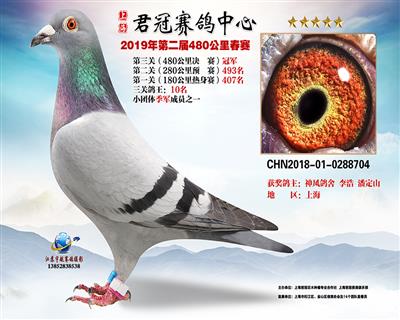 2019上海君冠决赛冠军