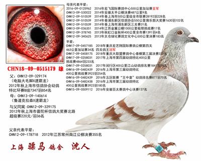 骠马5179