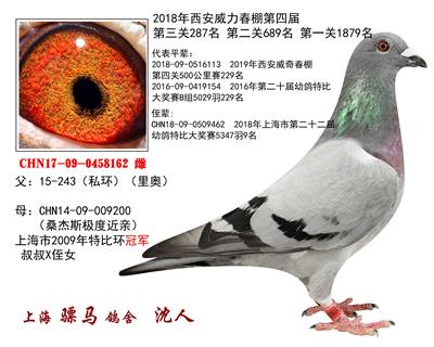 骠马8162