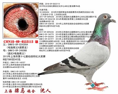 骠马3113