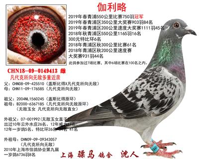 骠马9413