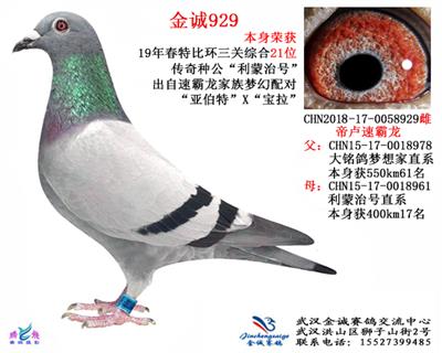 戈马利11名同父异母平辈