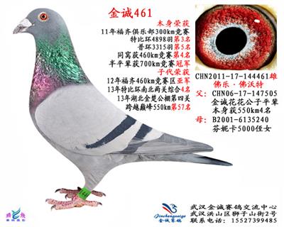 金诚461