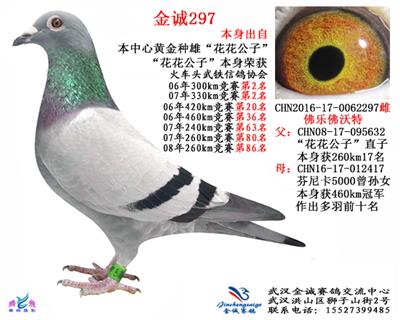 金诚297
