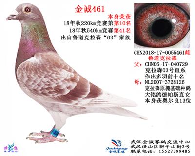 克拉森红色经典