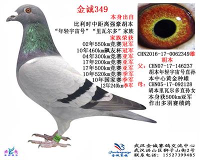 胡本年轻宇宙号