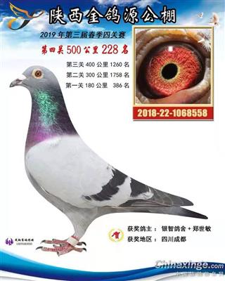 杨.欧瓦克配米西/芬妮卡