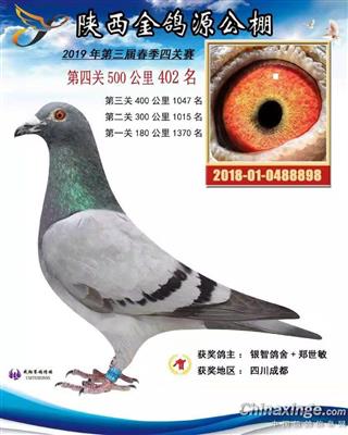 芬妮卡，多重近亲