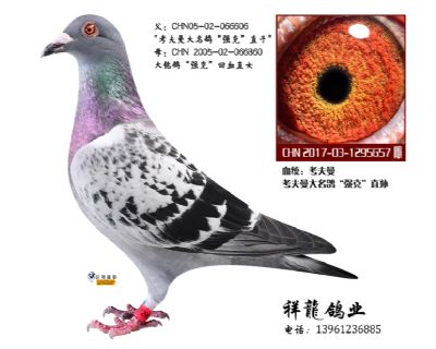 考夫曼“强克”直孙女