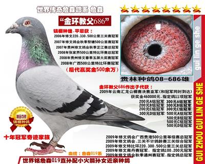 镇棚种雄“传奇教父686”