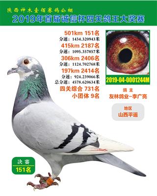 阳光家园胡本：壹佰赛鸽199999外孙