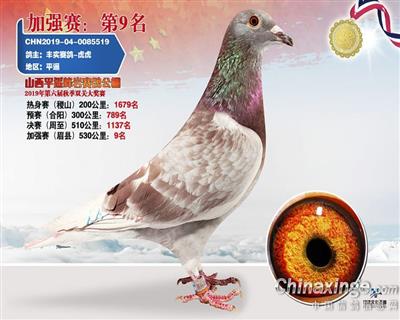 超级种雄德拉帕“红雾”直孙