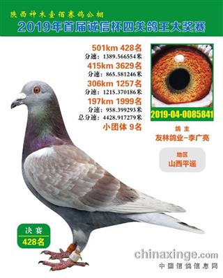超级种雄德拉帕“红雾”直孙