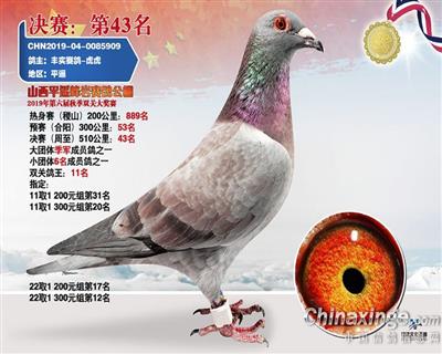 德拉帕“红雾”直孙