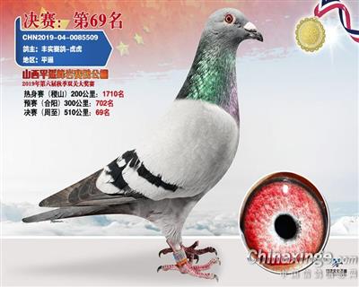 阳光家园胡本：19999直孙