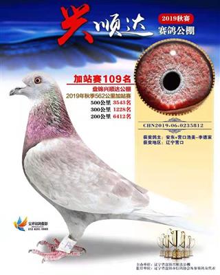 范德佛拉斯紫帝曾孙