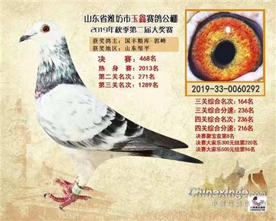 2019年山东玉鑫赛鸽公棚决赛468名
