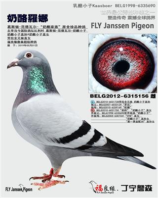 奶酪罗娜奶酪小子直孙女