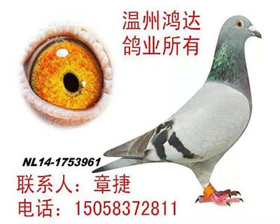 克拉克詹森