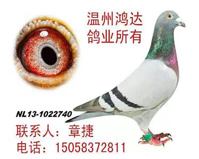 克拉克詹森