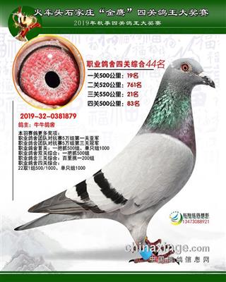 石家庄四十四名