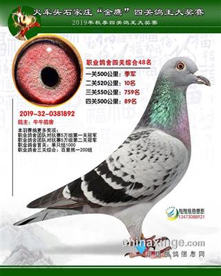 石家庄四十八名