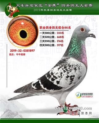 石家庄八十六名