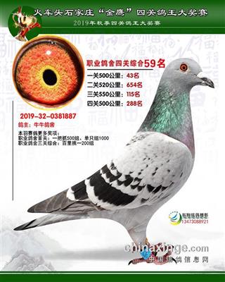 石家庄五十九名