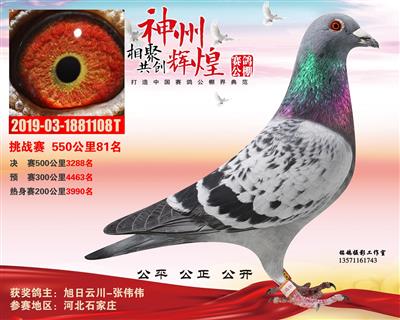 神州550公里81名
