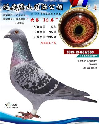 【燕山鸽王7位】（恭喜拍中鸽友！）