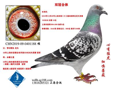 双冠合体 已转鸽友收藏