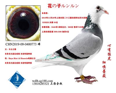 花の子ルンルン