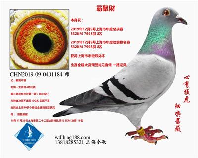 19霸聚財 已转鸽友收藏