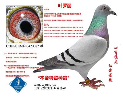 叶罗丽