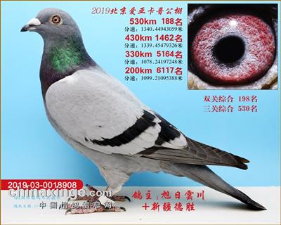北京卡普188名