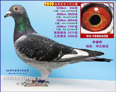 涿州爱亚卡普决赛344名