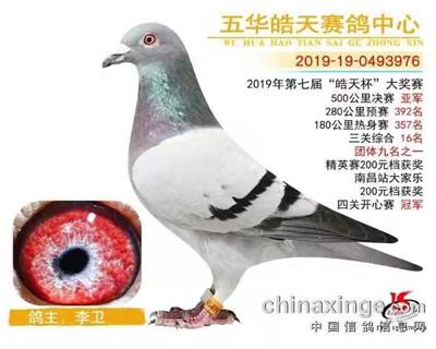 2019年廣東五華浩天公棚決賽總亞軍