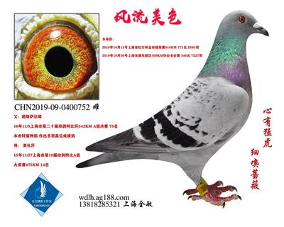 风流美色 已转、