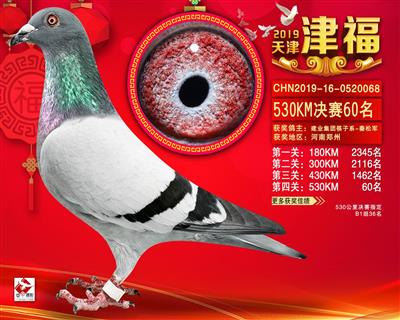 天津津福公棚决赛60名