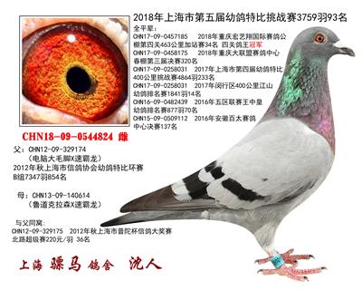 骠马4824