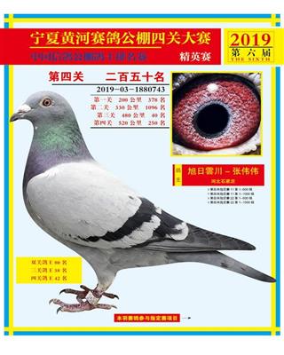 黄河250